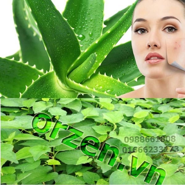 thuốc trị rụng tóc hiệu quả nhất thuốc trị rụng tóc hiệu quả nhất